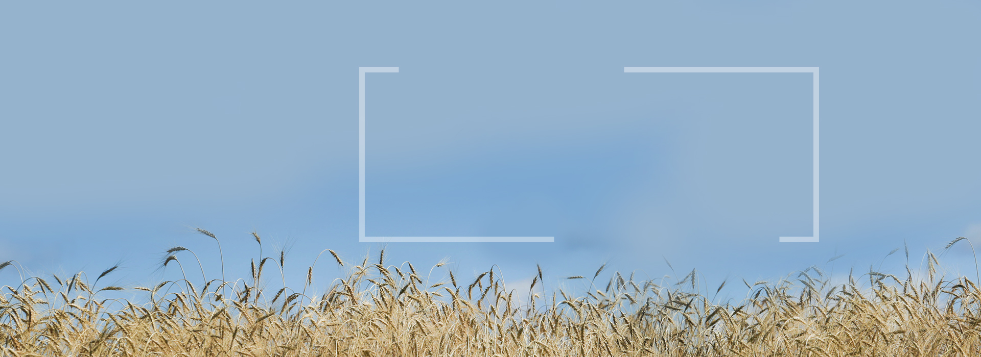 Ψυχολόγος - Ψυχοθεραπεύτρια